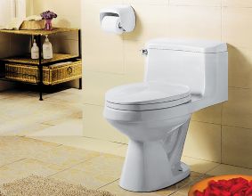 Mansfield One Piece Toilet