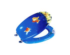 Toilet Seat