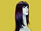100% Human Hair Wig