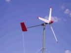 wind turbine10W 