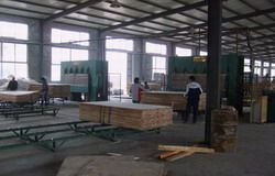 china paulownia blockboard