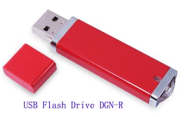 USB Flash Drive Thumbdrive USB Pen Drive DGN-R