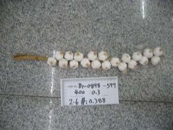artificial garlic