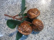 artificial walnut