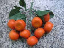 artificial orange