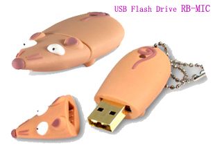 Promotion Gifts USB Flash Drive RB-MIC