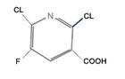 2,6-Dichloro-5-fluoronicotinic acid 	