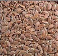 Flax Lignans 