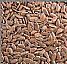 Flax Lignans