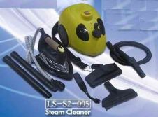 Steam cleaners