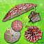 two folding manual open umbrella, mini umbrella 