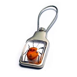 Insect Amber Crafts - Key Chain