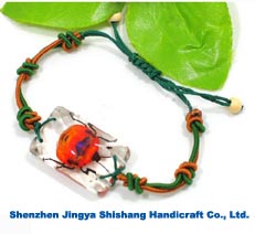 Insect Amber BraceletsVery unique 