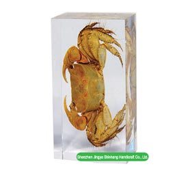Insect Amber Crafts - Paperweight