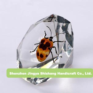 Sell Insect amber Jewelry from manufacturer in China