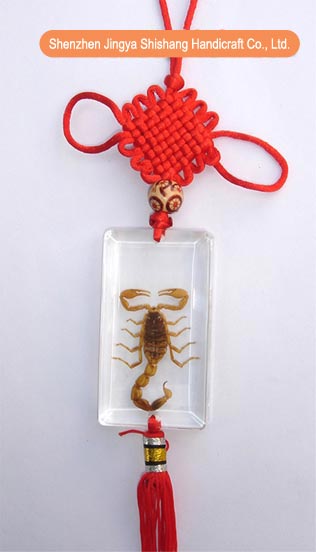 Insect Amber Crafts - Chinese Knots