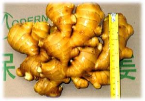 fresh ginger