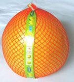 honey pomelo