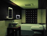 Wide Screen Waterproof LCD TV TW171