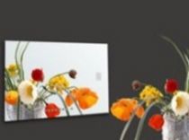 Waterproof Digital Mirror TV TMW191D