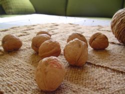 walnuts inshell