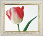 digital photo frame 15 inch 