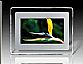 digital photo frame 7 inch
