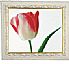 digital photo frame 15 inch 