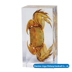 Insect Amber Crafts - Paperweight