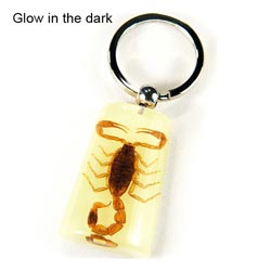Insect Amber Crafts - Key Chain