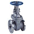 gate valve