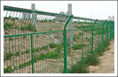Welded Wire Mesh