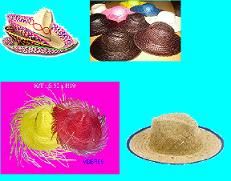 straw and seagrass hat