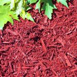 Red Organic Mulch