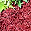 Red Organic Mulch