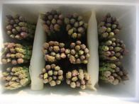 fresh asparagus
