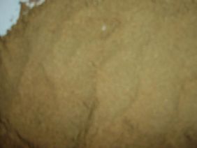 fish meal, artemia cysts and so on