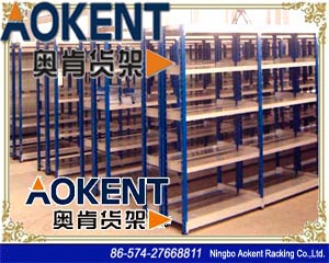 professional storage shelving