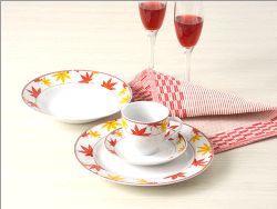 Porcelain Dinner Set