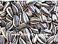 sunflower seeds