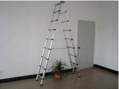 Dual-utilities Step Ladder
