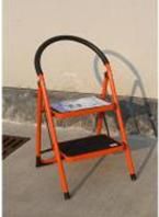 Multi-purpose Ladder