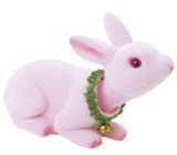 shakeing head rabbit