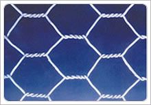 Hexagonal wire mesh netting