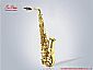 alto saxophoneTSAS-66