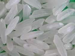 Vietnam agricutural product