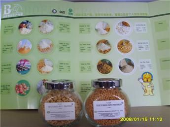 soy protein texture