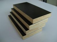 Molding plywood for construction 