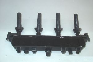 dryignition coil  