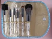 cosmetic brush set 
